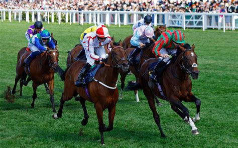 ascot full results.